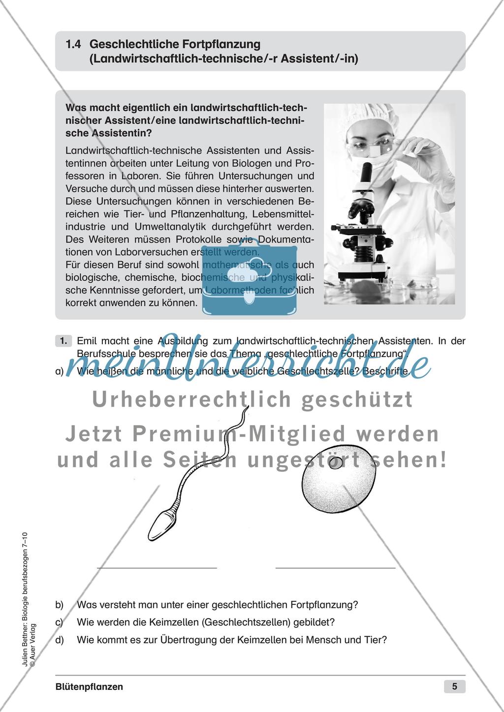 Blütenpflanzen Preview 7