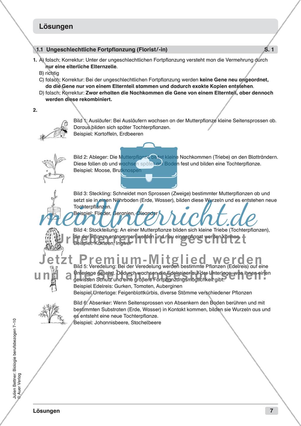 Blütenpflanzen Preview 9