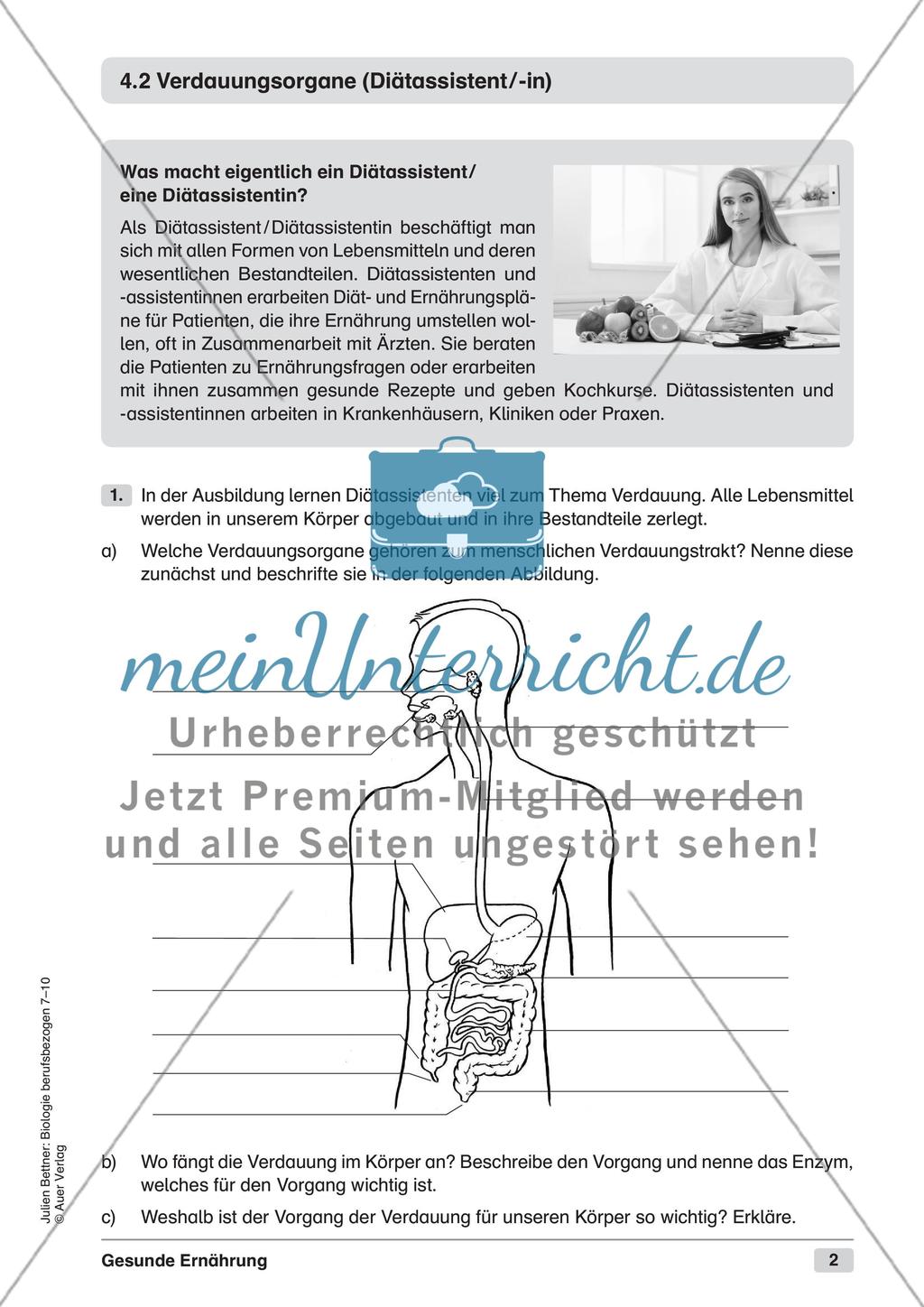 Gesunde Ernährung Preview 4