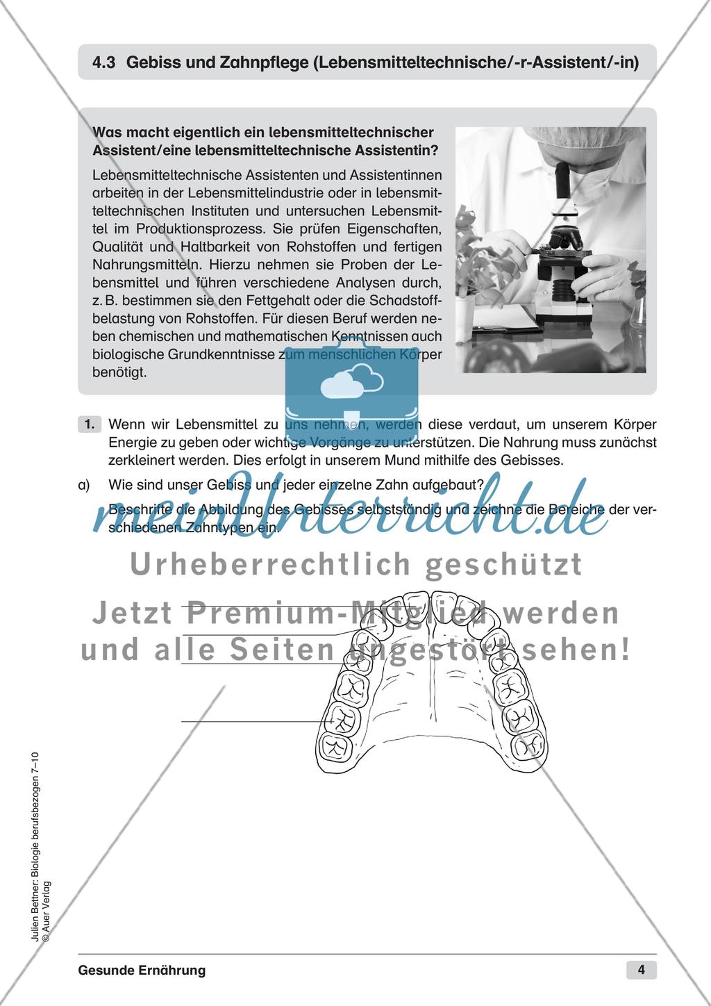 Gesunde Ernährung Preview 6