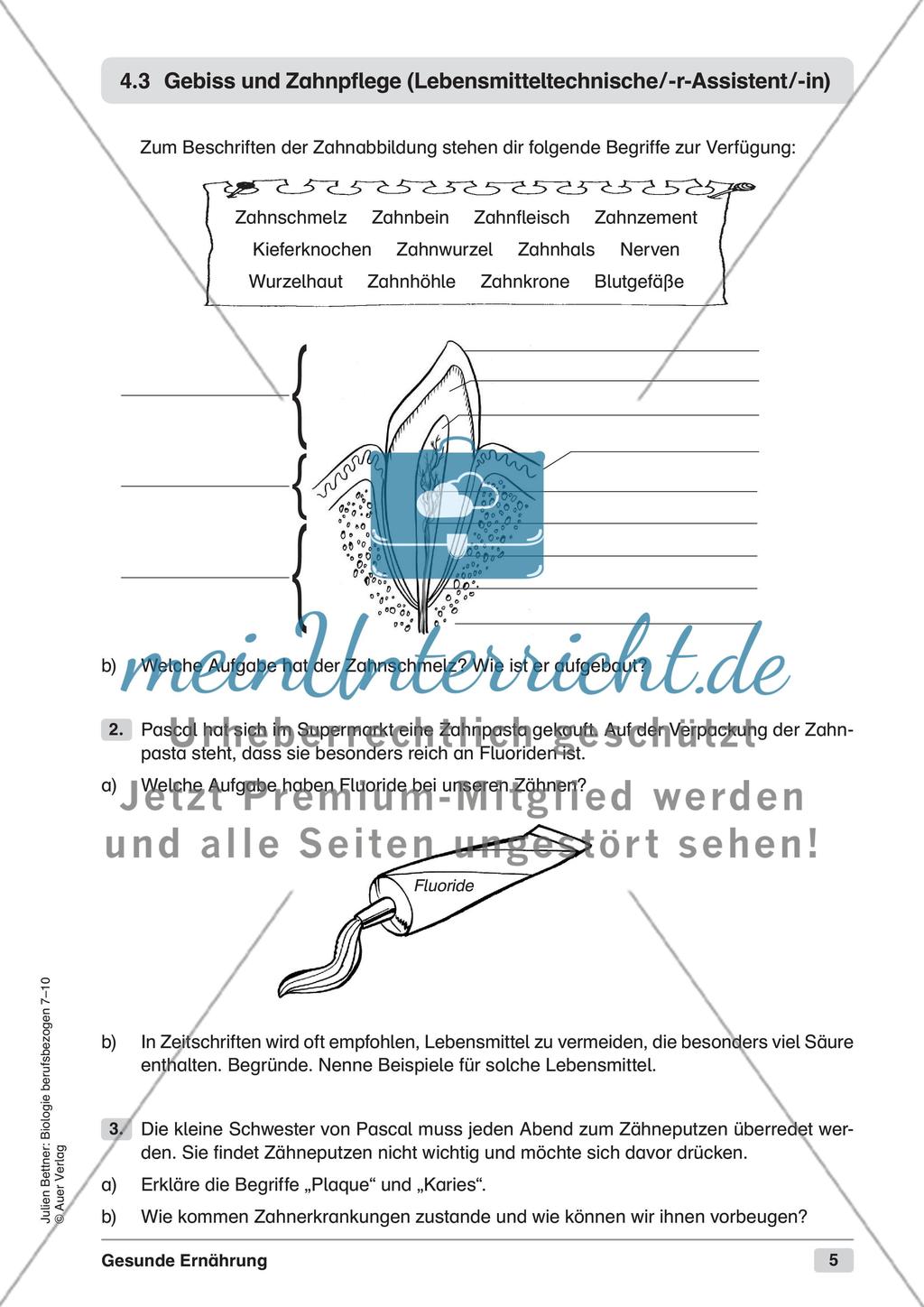 Gesunde Ernährung Preview 7