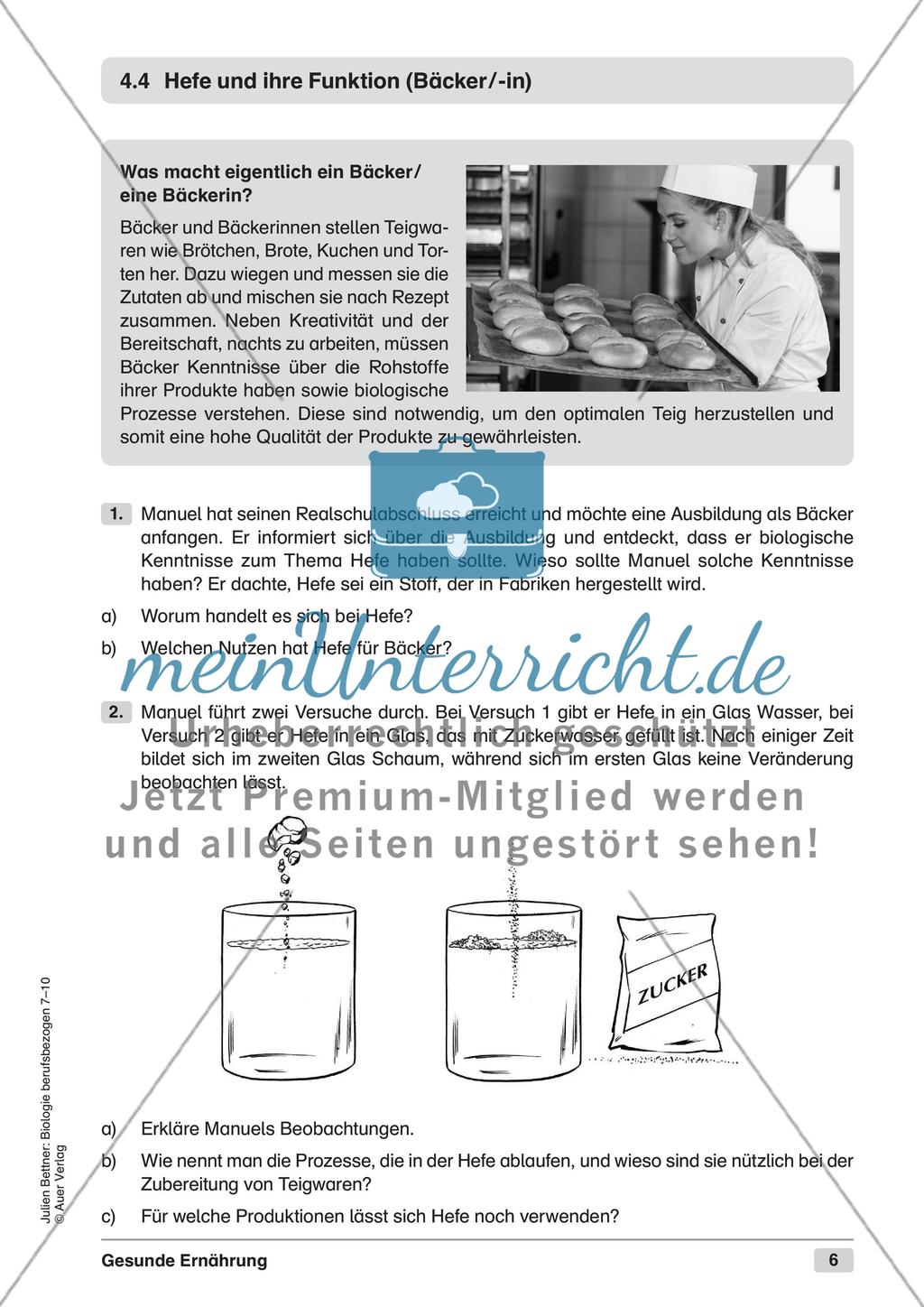 Gesunde Ernährung Preview 8