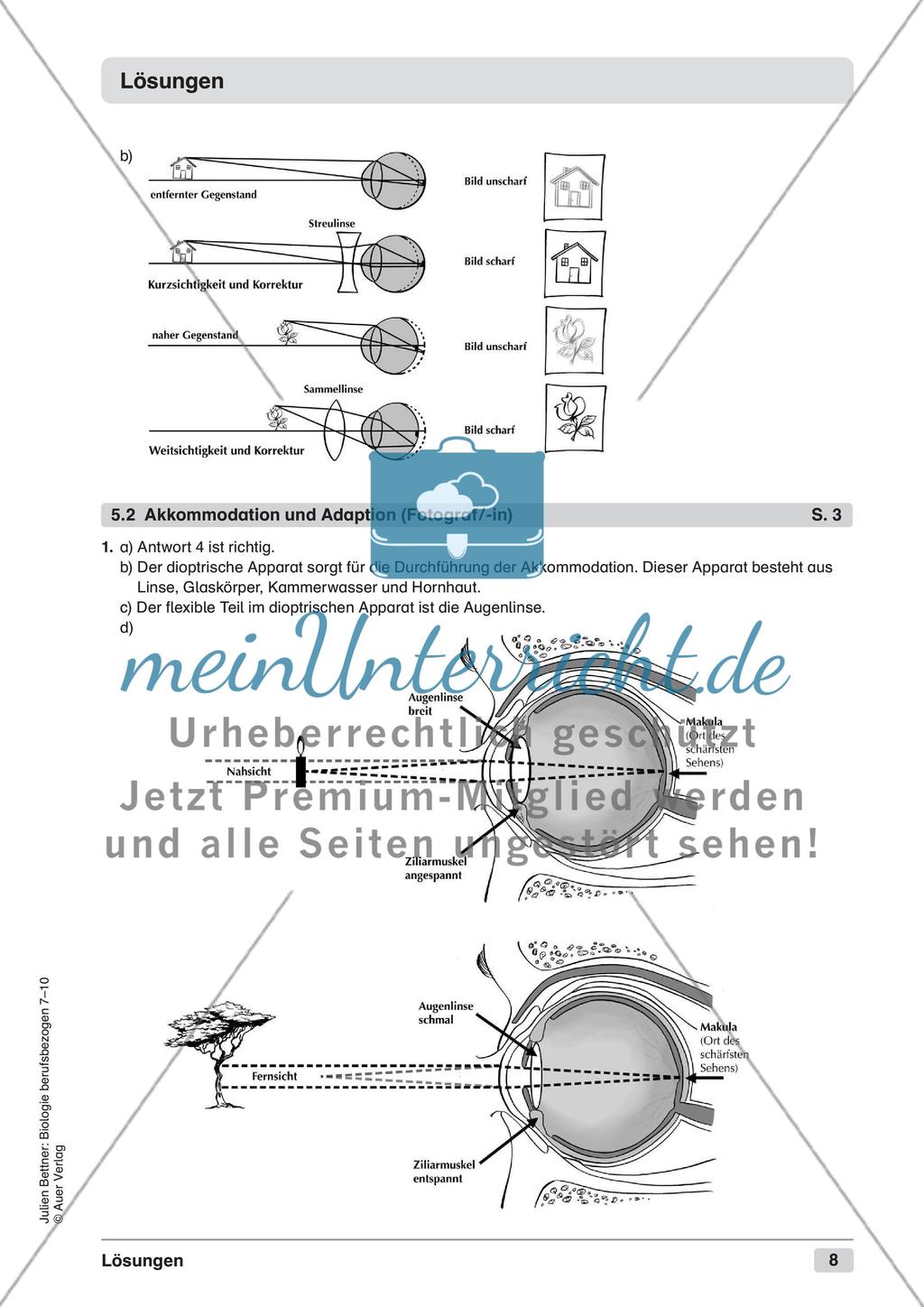 Wahrnehmen und Orientieren Preview 10