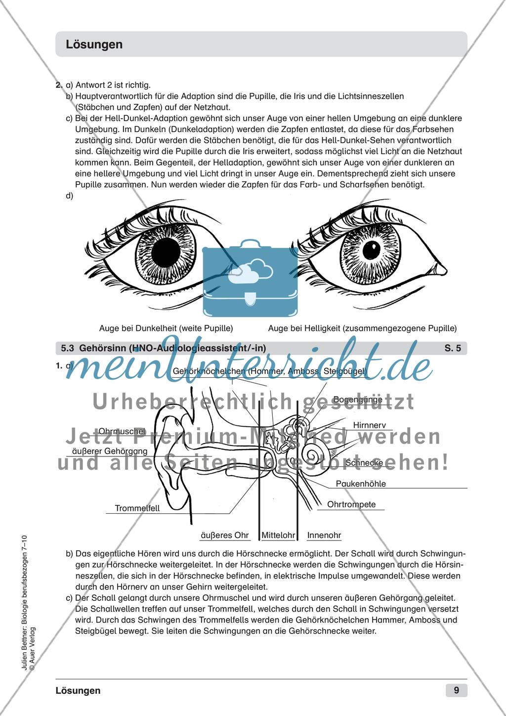 Wahrnehmen und Orientieren Preview 11
