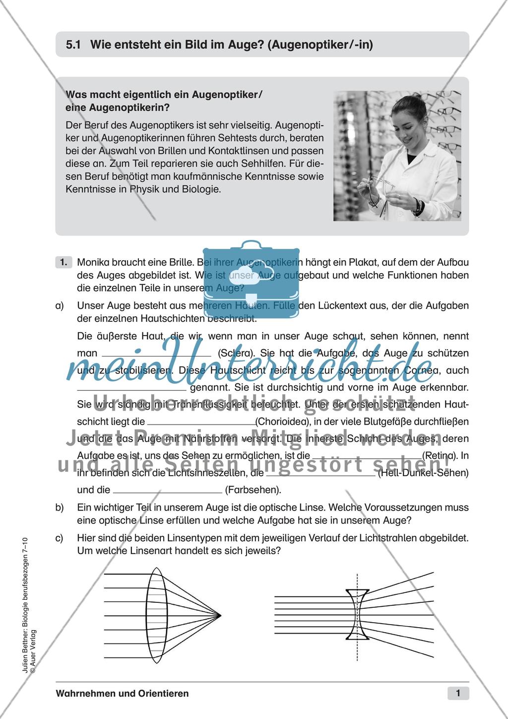 Wahrnehmen und Orientieren Preview 3