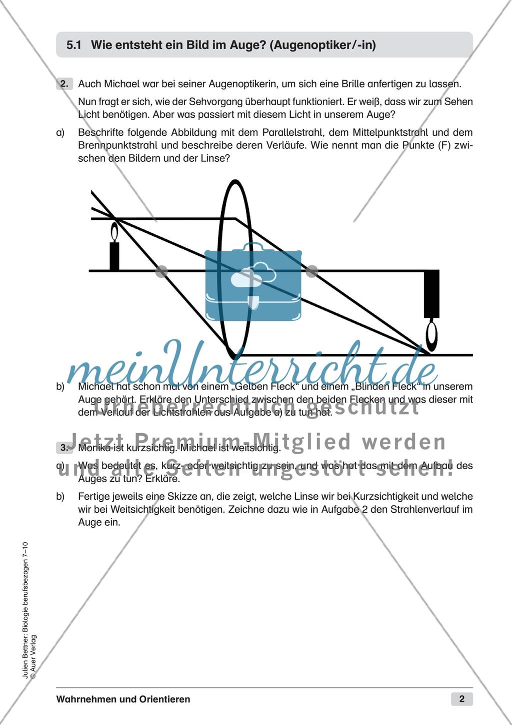 Wahrnehmen und Orientieren Preview 4