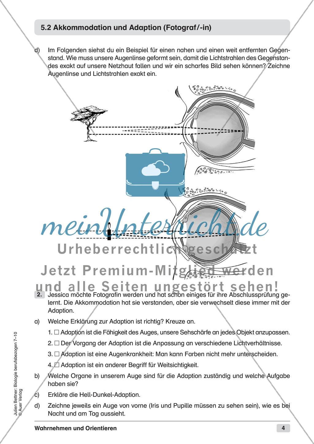 Wahrnehmen und Orientieren Preview 6