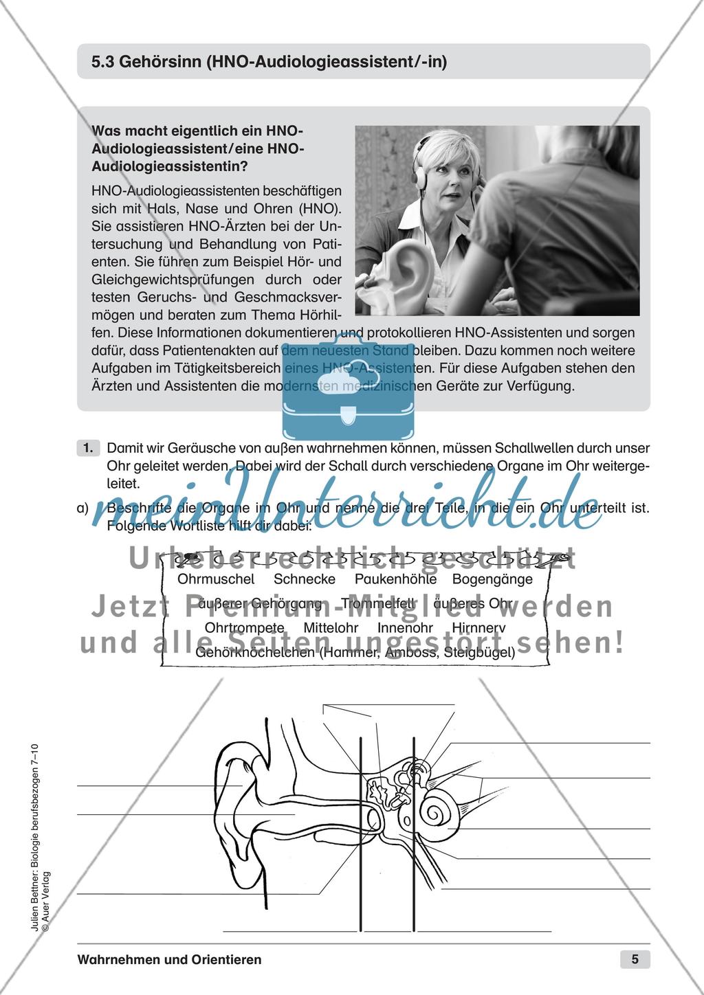 Wahrnehmen und Orientieren Preview 7