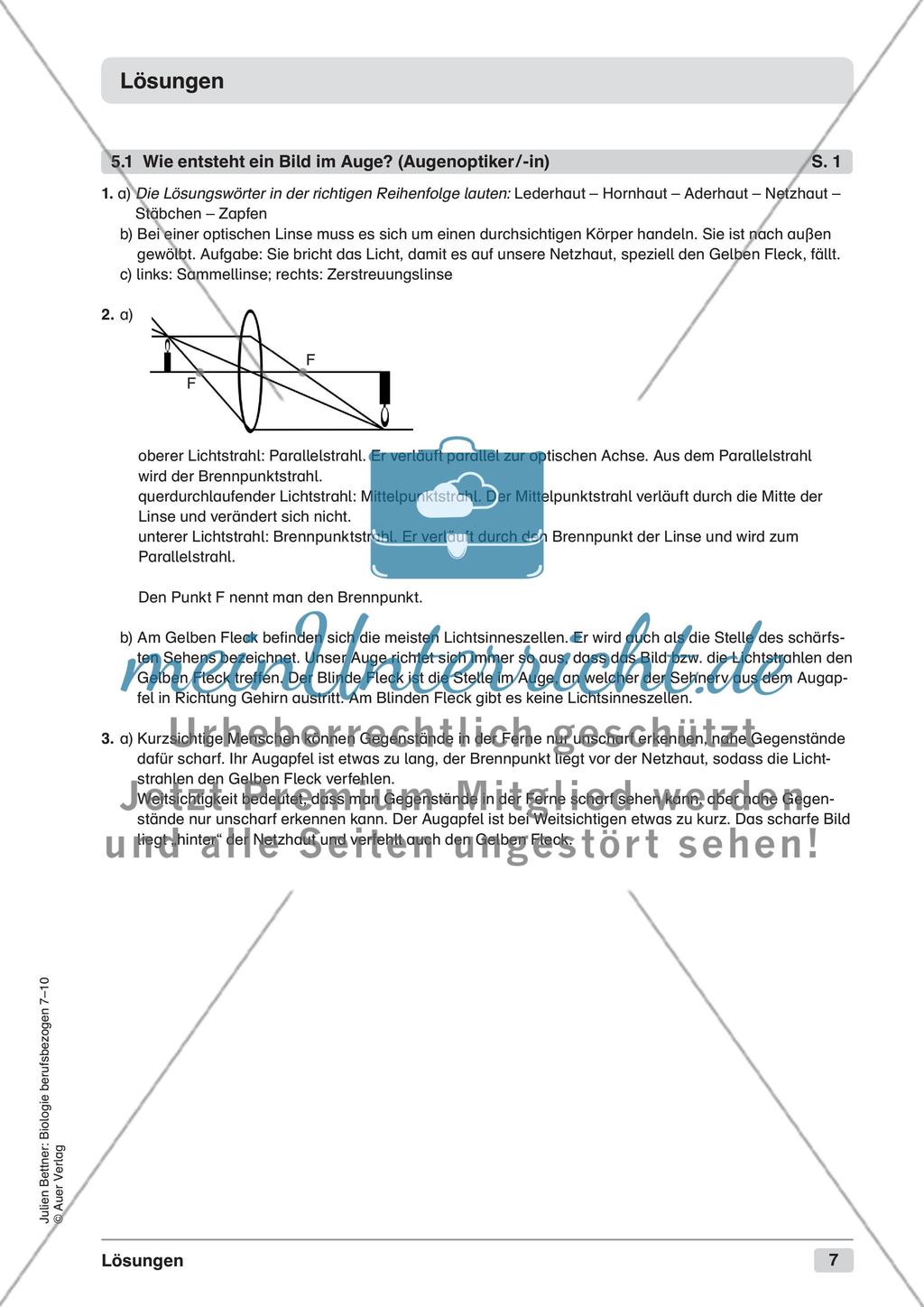 Wahrnehmen und Orientieren Preview 9