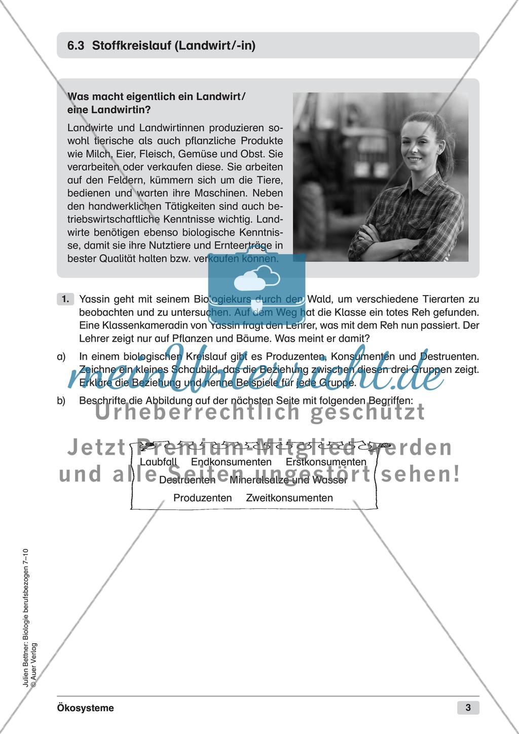 Ökosysteme Preview 5