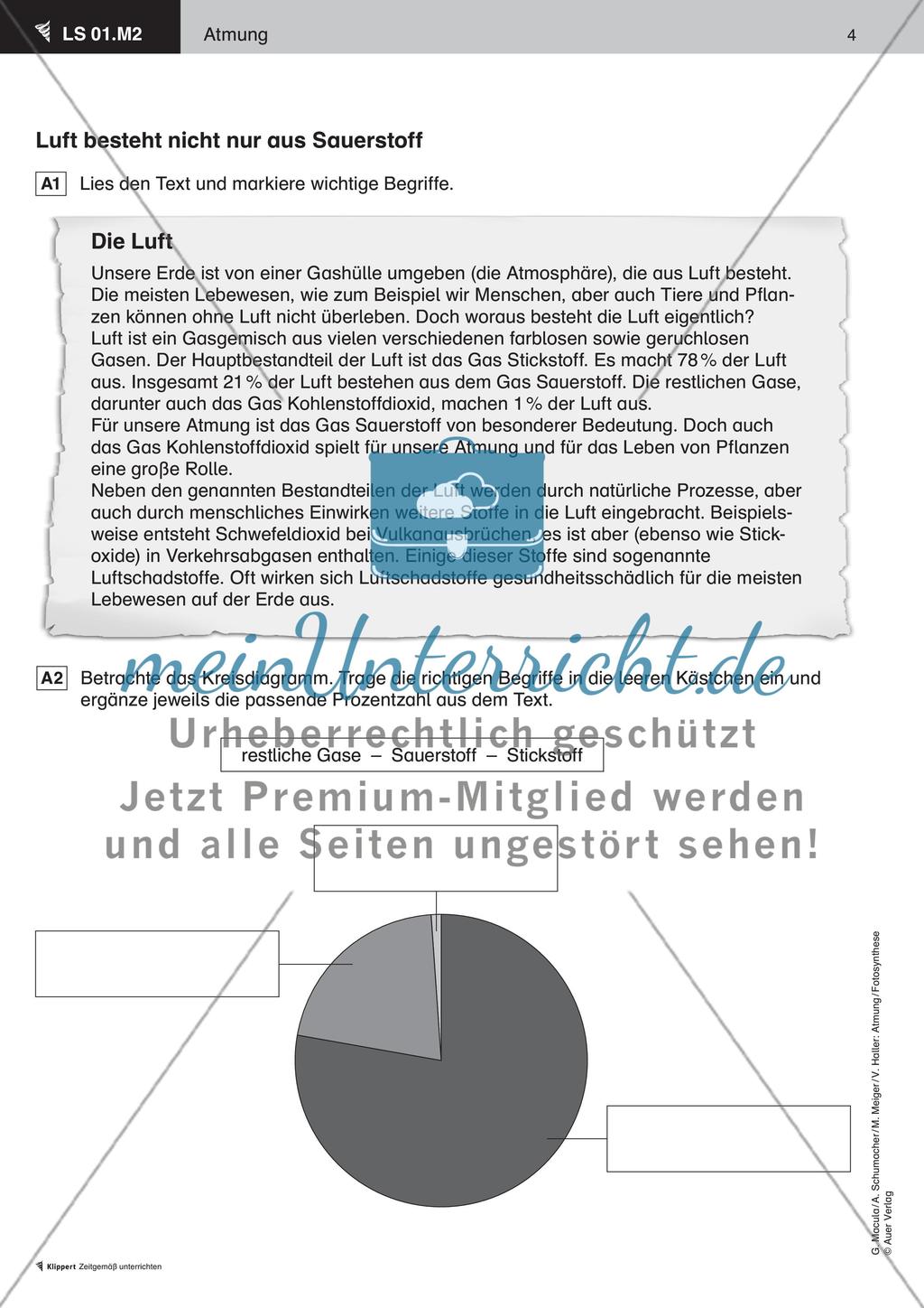 Quiz zur Atmung Preview 4