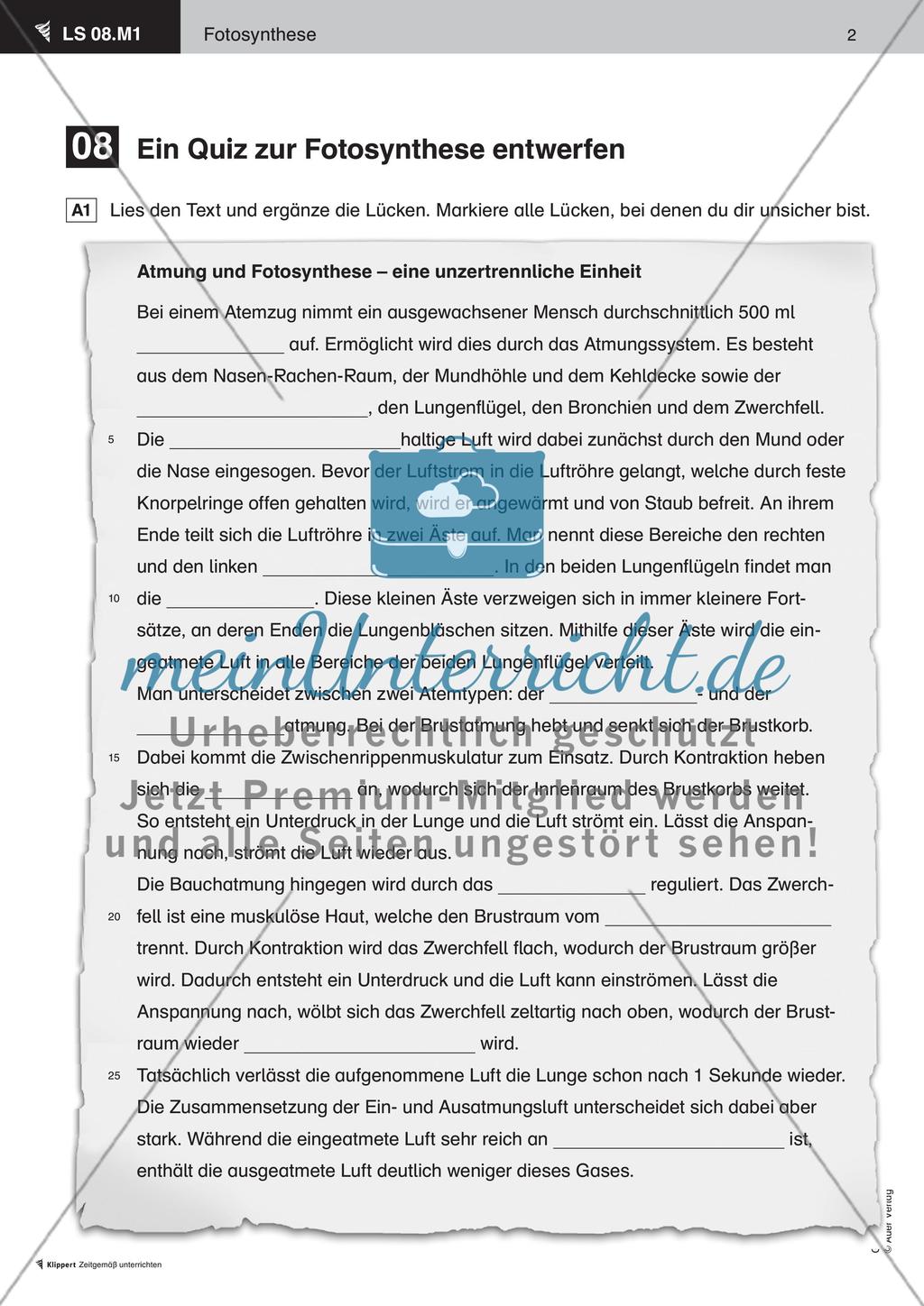 Ein Quiz zur Fotosynthese entwerfen Preview 3