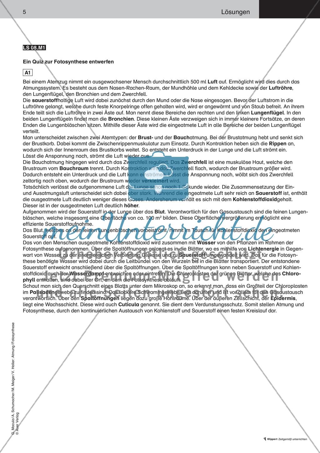 Ein Quiz zur Fotosynthese entwerfen Preview 6