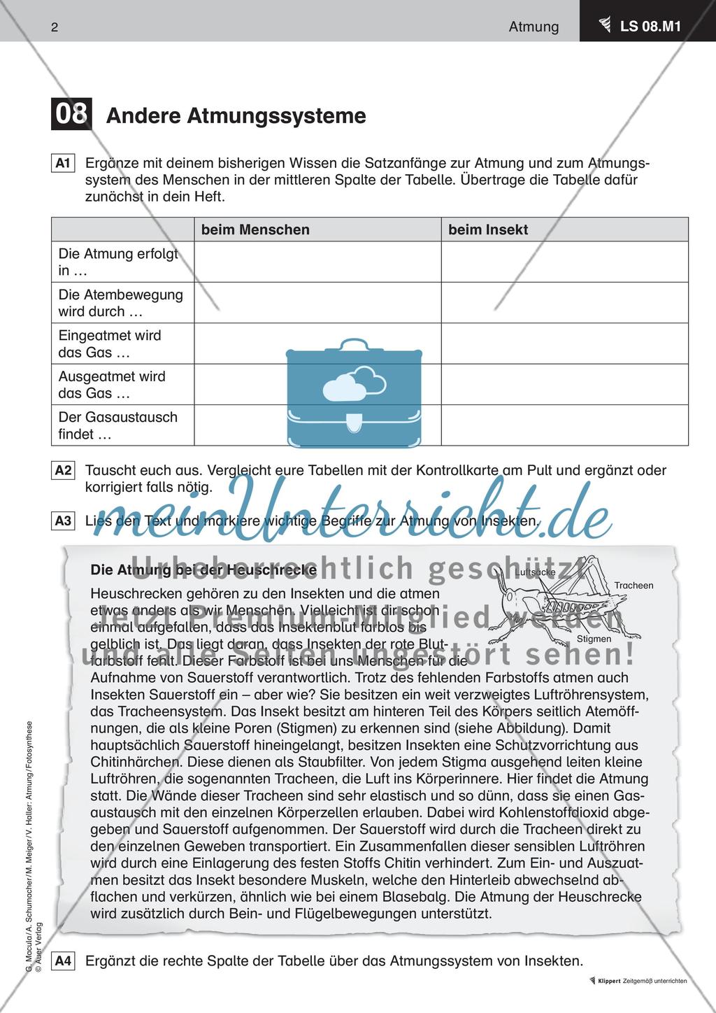 Andere Atmungssysteme Preview 3