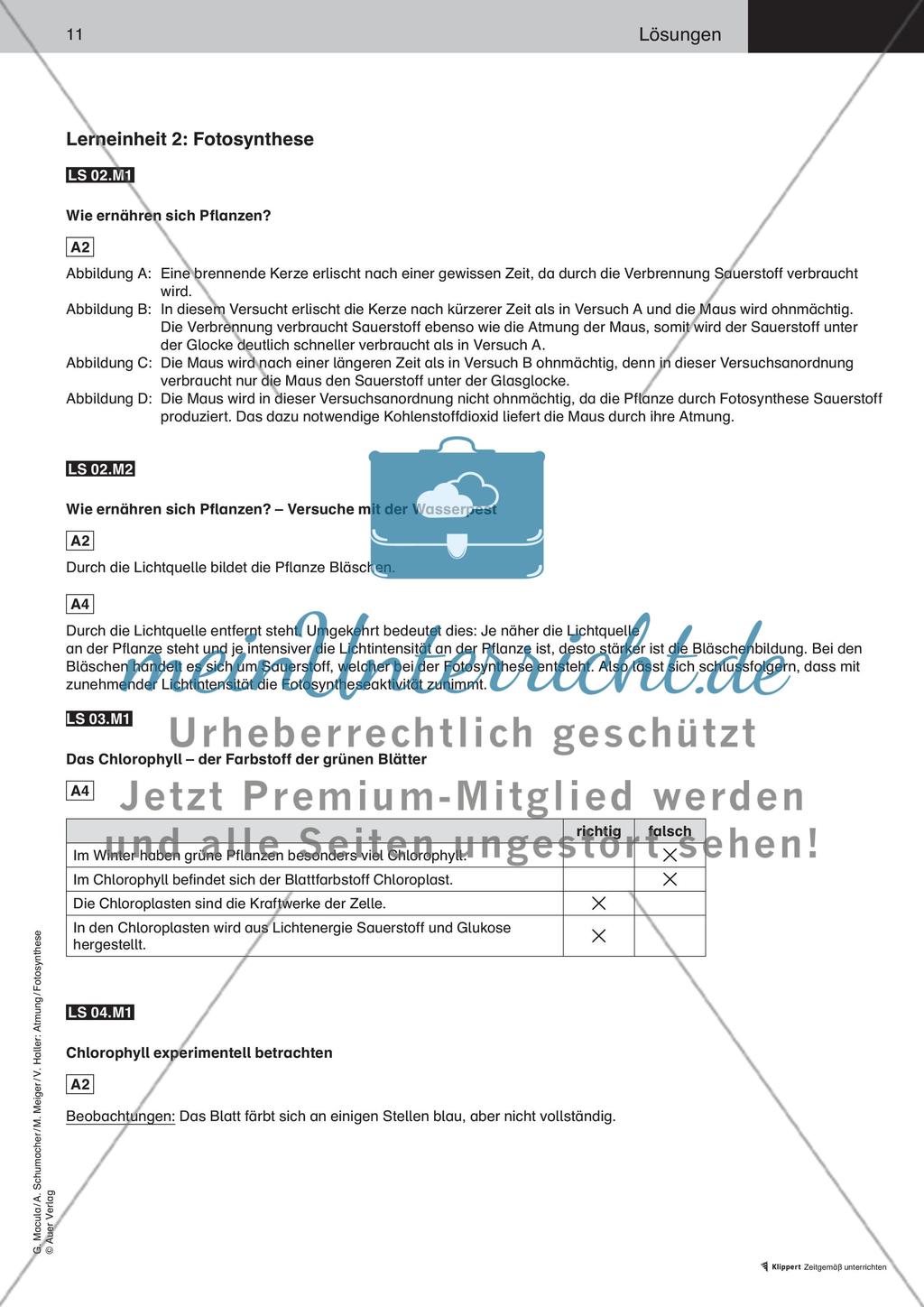 Wie ernähren sich Pflanzen Preview 12