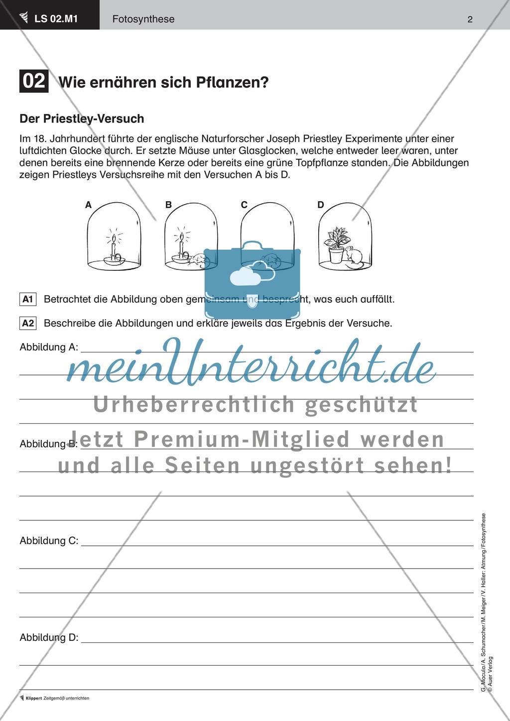 Wie ernähren sich Pflanzen Preview 3