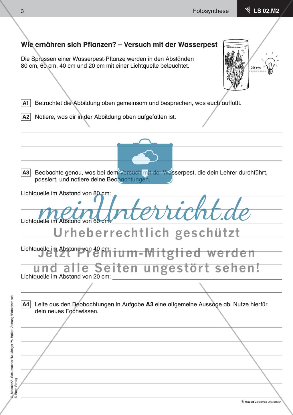 Wie ernähren sich Pflanzen Preview 4
