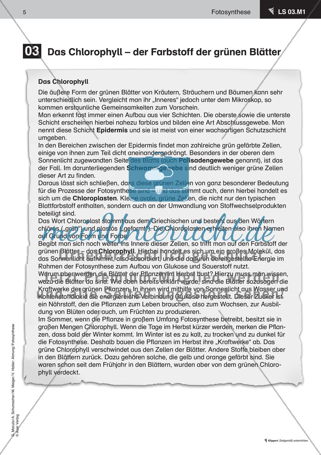 Wie ernähren sich Pflanzen Preview 6