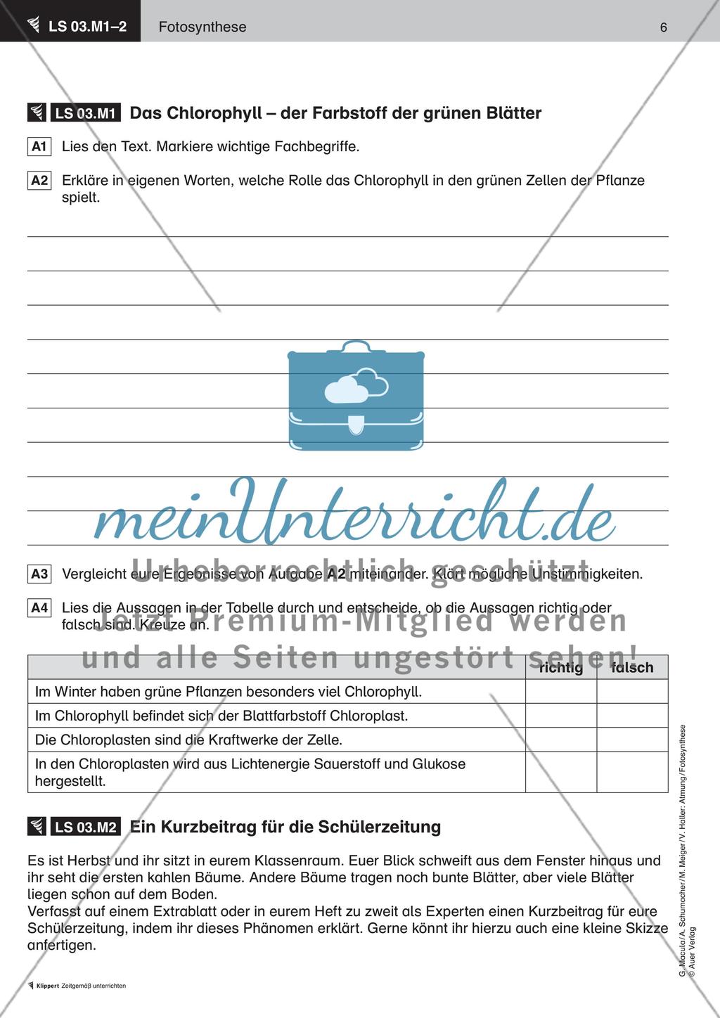 Wie ernähren sich Pflanzen Preview 7