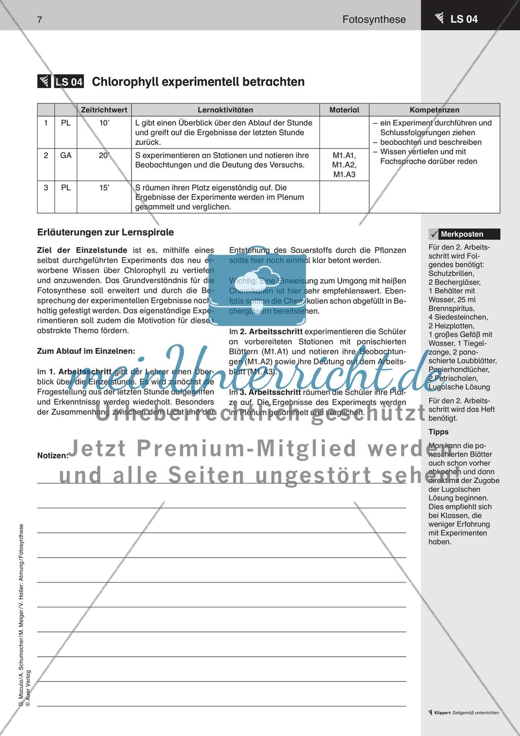 Wie ernähren sich Pflanzen Preview 8