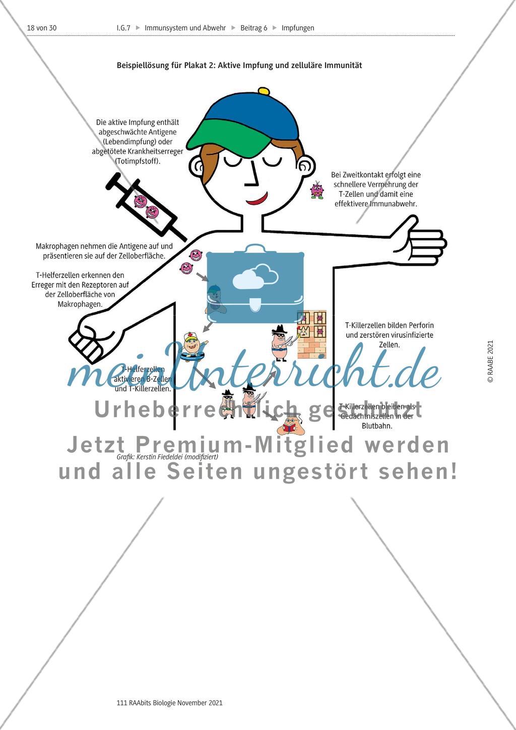 Aktive und passive Immunisierung - M1-M3 Preview 13