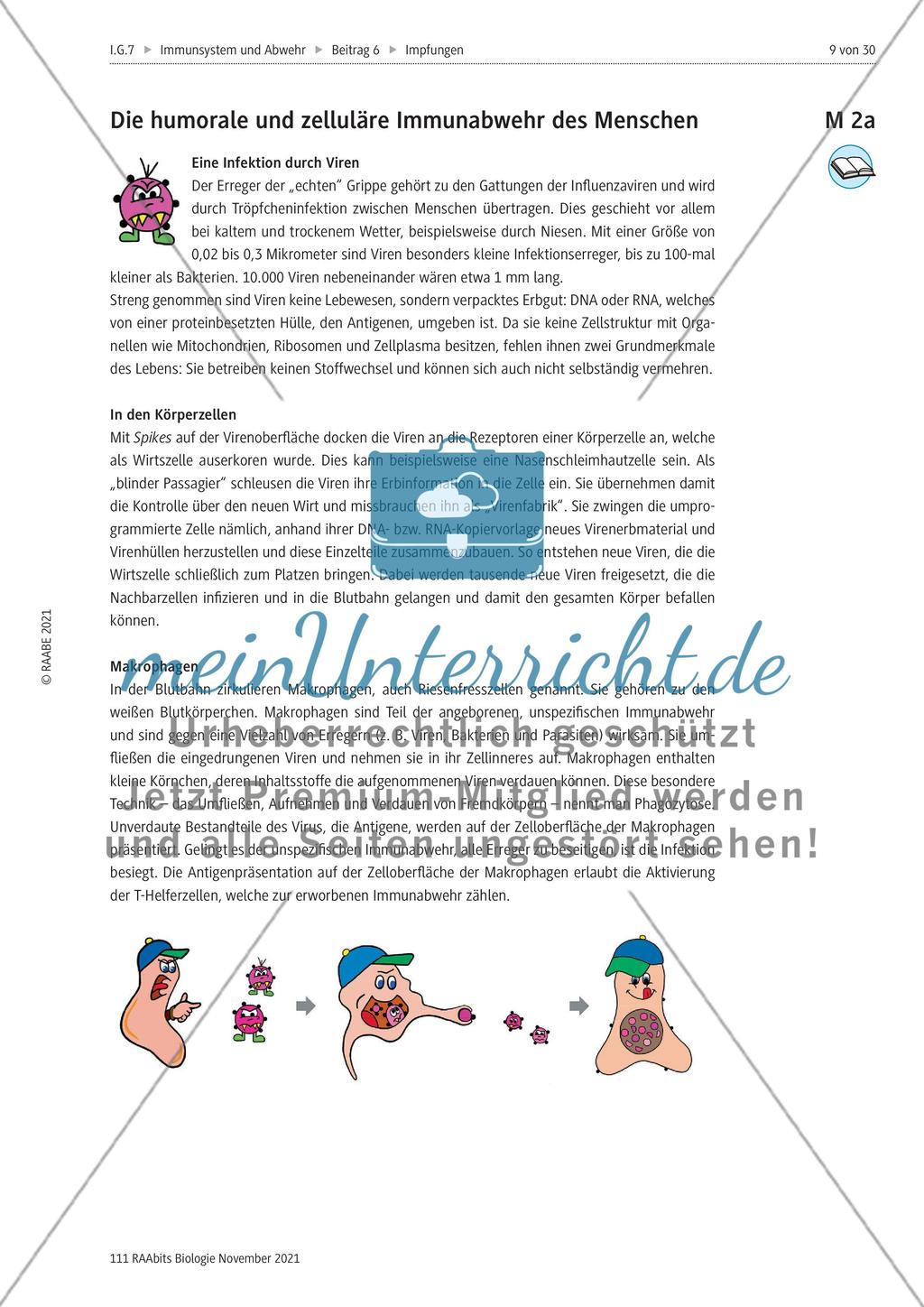 Aktive und passive Immunisierung - M1-M3 Preview 4
