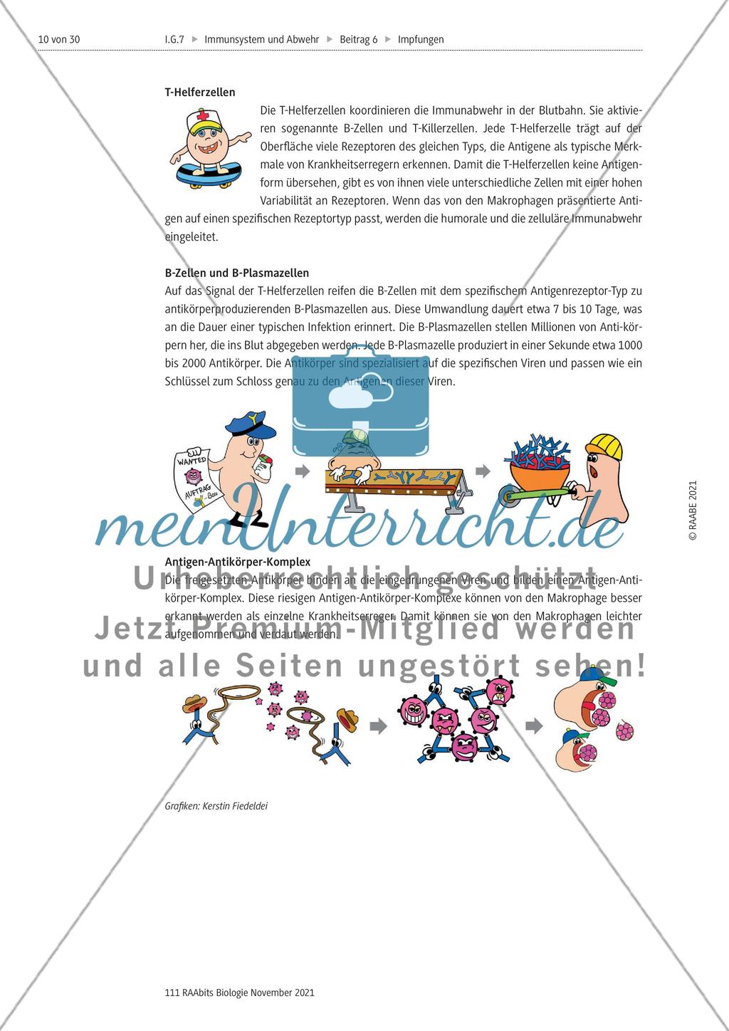Aktive und passive Immunisierung - M1-M3 Preview 5