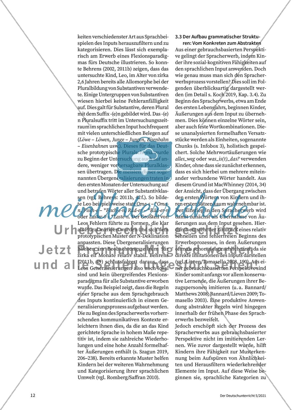 Theorien des Spracherwerbs Preview 7