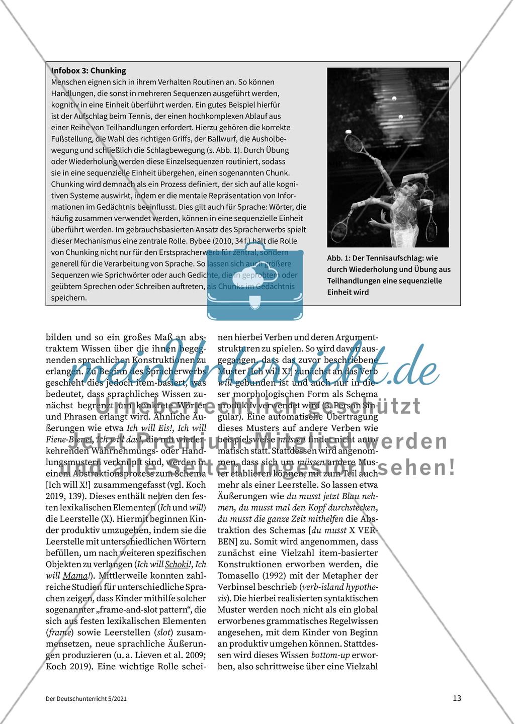 Theorien des Spracherwerbs Preview 8