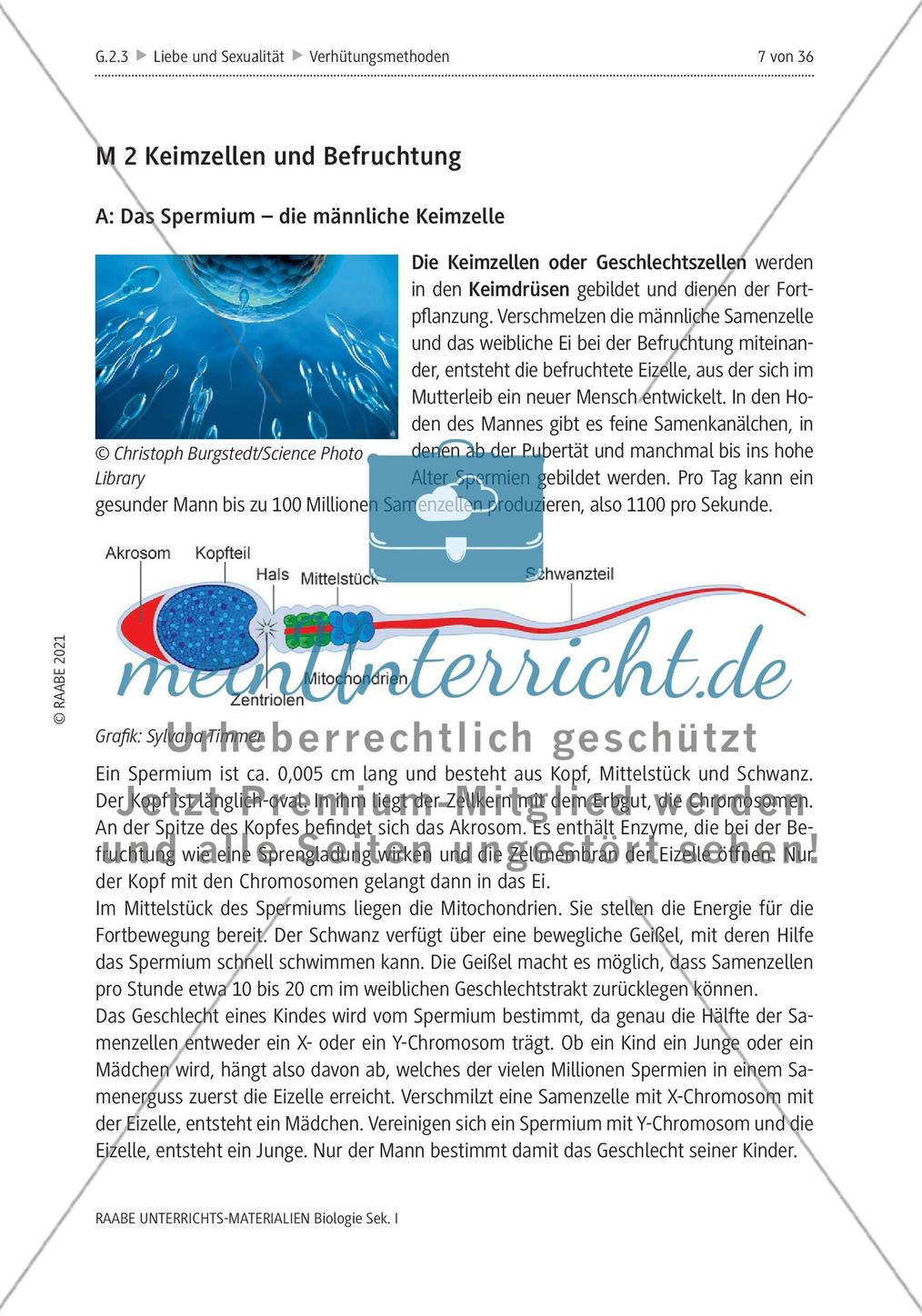 Ist Verhütung Frauensache? - M1-M5 Preview 3