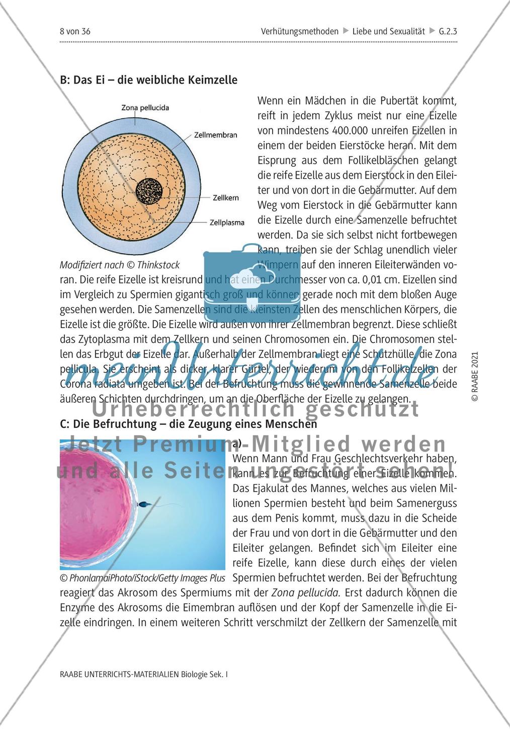 Ist Verhütung Frauensache? - M1-M5 Preview 4