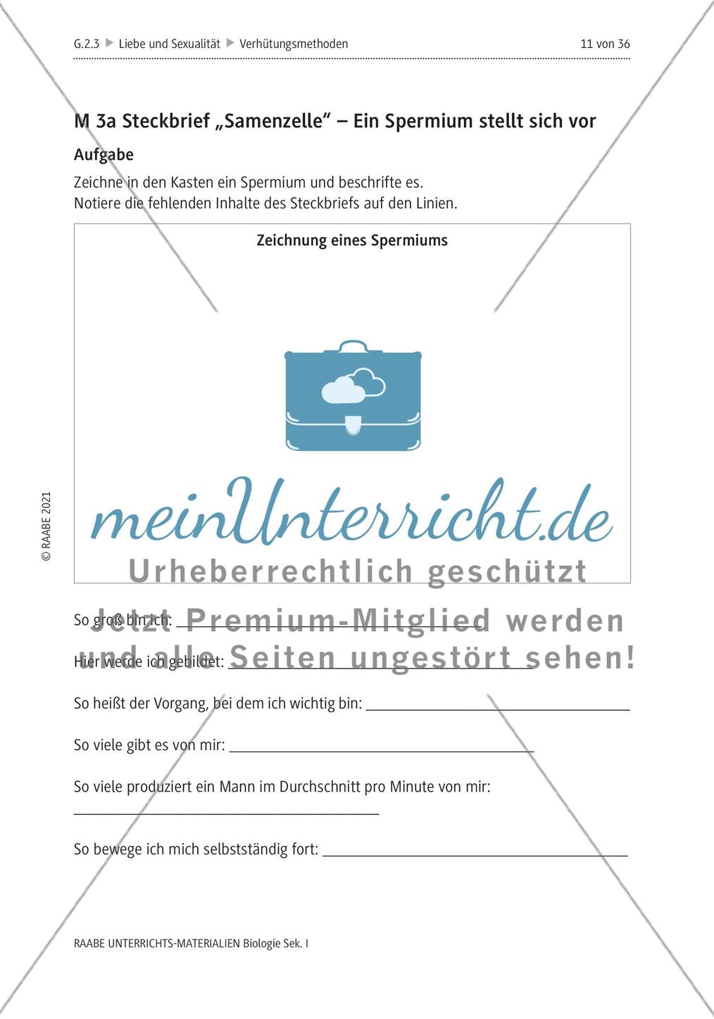 Ist Verhütung Frauensache? - M1-M5 Preview 7