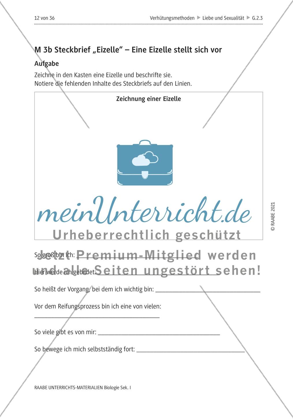 Ist Verhütung Frauensache? - M1-M5 Preview 8