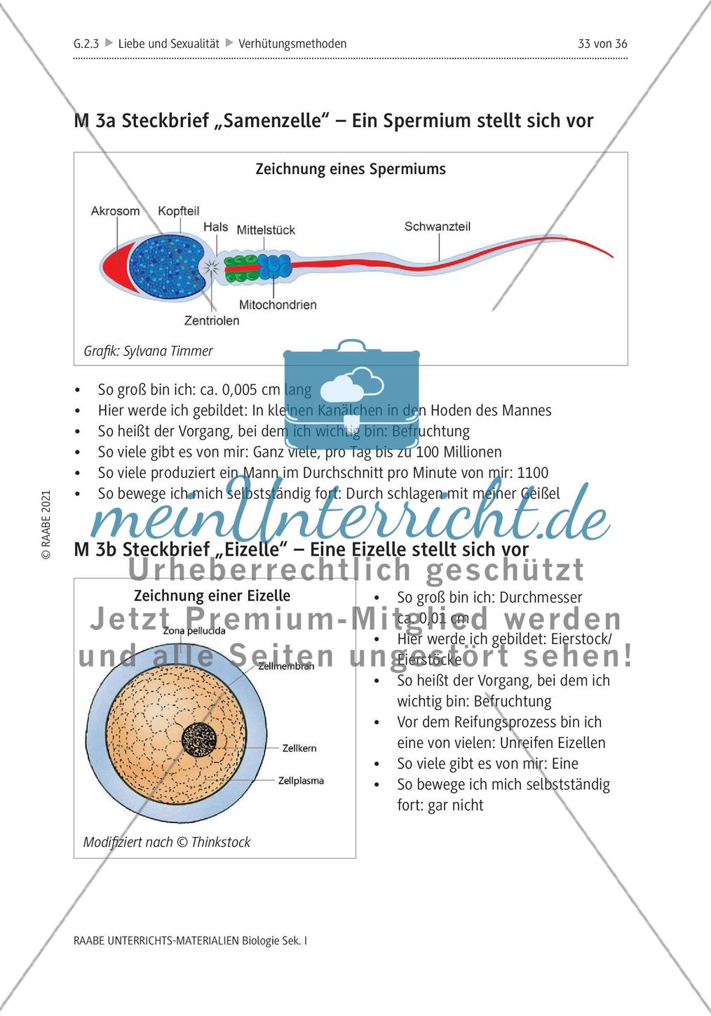 Lösungen Preview 7