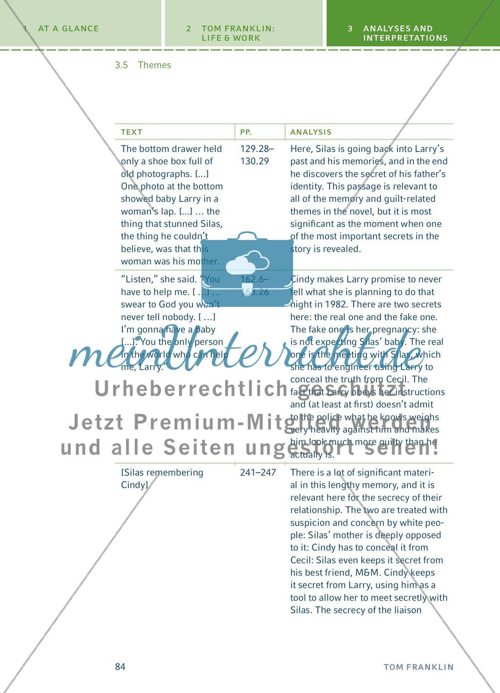 Analyses and Interpretations - Teil 4 Preview 11