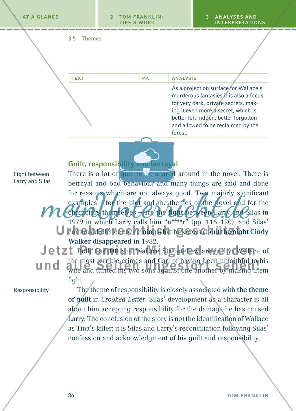 Analyses and Interpretations - Teil 4 Preview 13