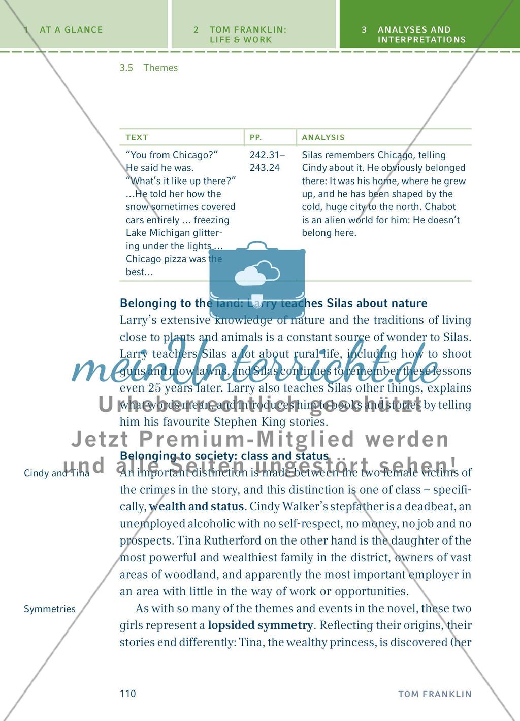 Analyses and Interpretations - Teil 4 Preview 37