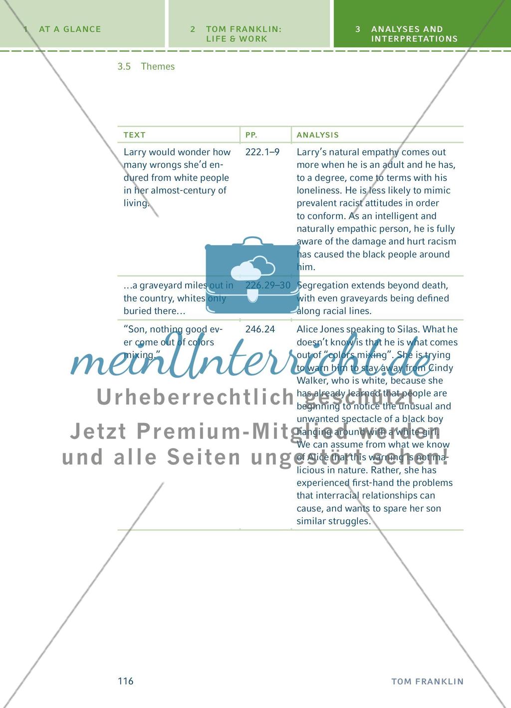 Analyses and Interpretations - Teil 4 Preview 43