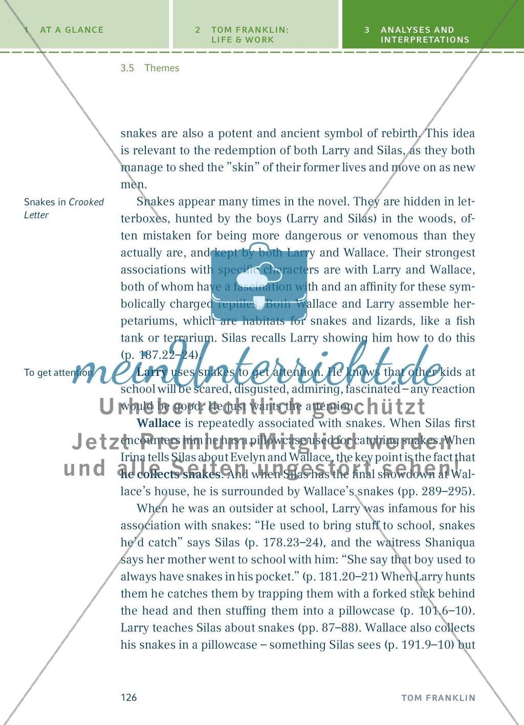 Analyses and Interpretations - Teil 4 Preview 53
