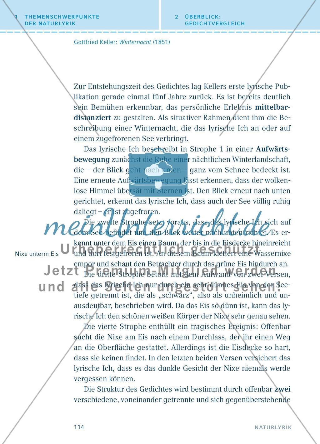 Autoren und ihre Gedichte - Teil 5 Preview 13