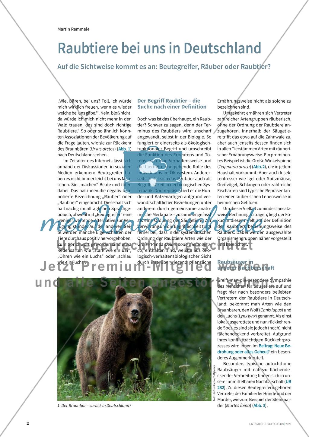 Raubtiere bei uns in Deutschland Preview 1
