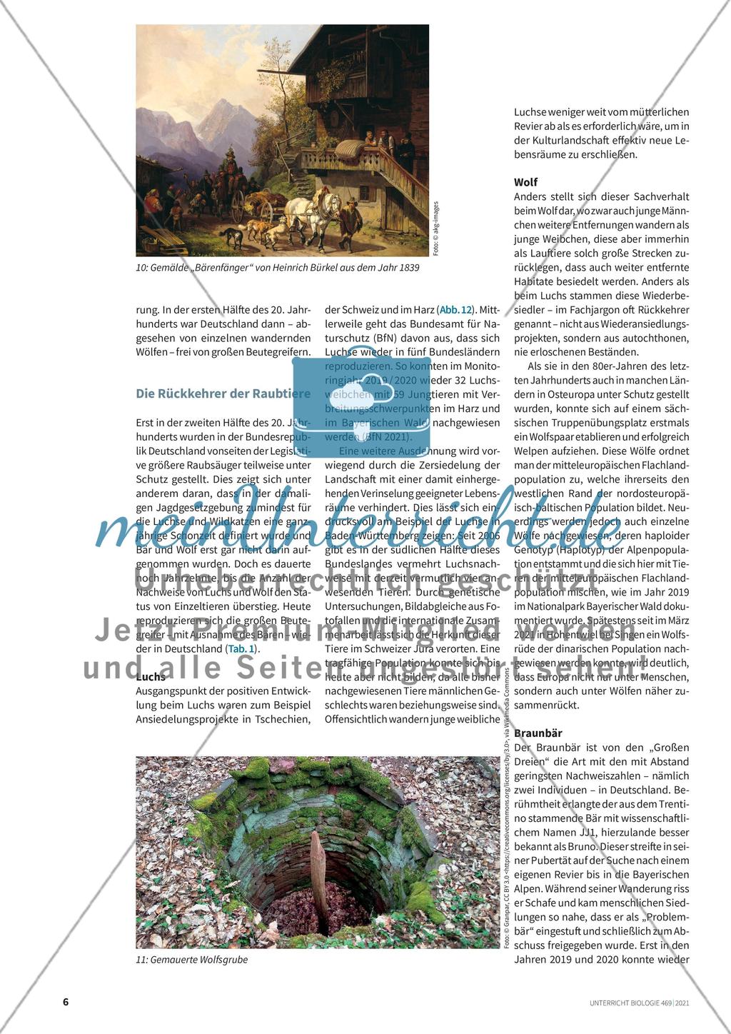 Raubtiere bei uns in Deutschland Preview 5