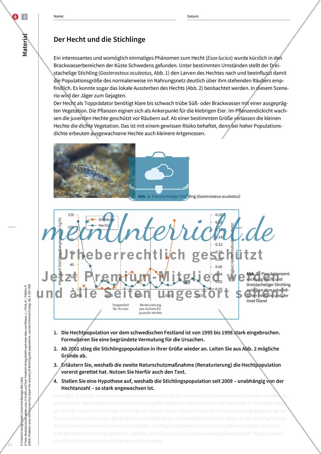 Der Hecht ist des Hechtes Wolf Preview 6
