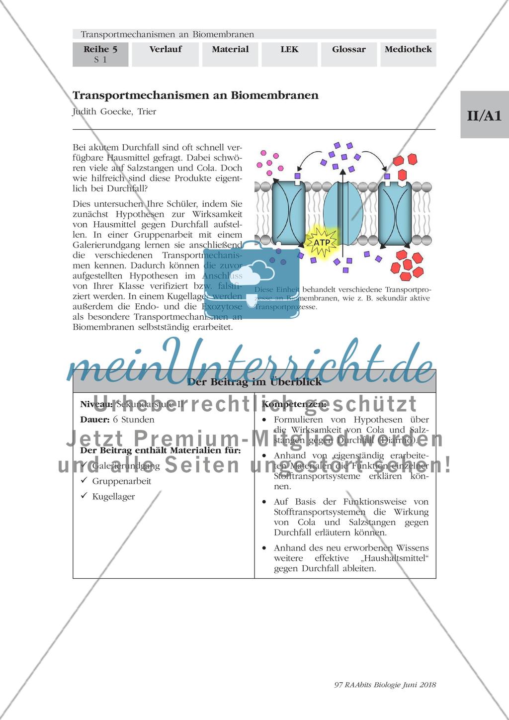 Einführung Preview 1