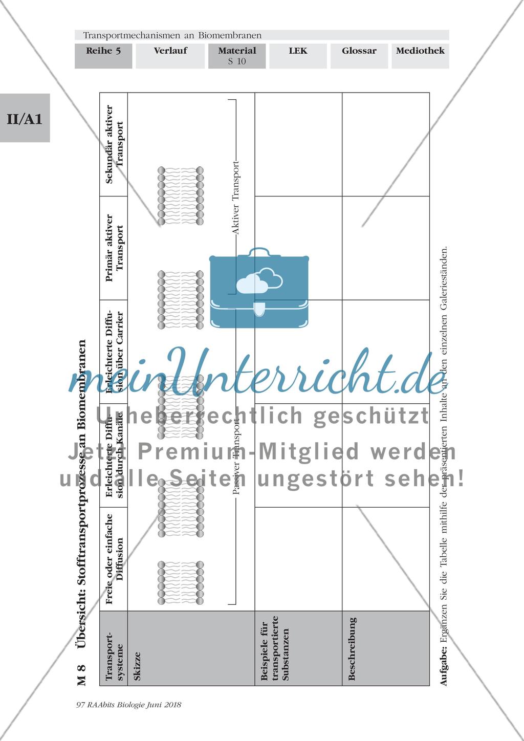 Transportmechanismen an Biomembranen - M1-M9 Preview 10