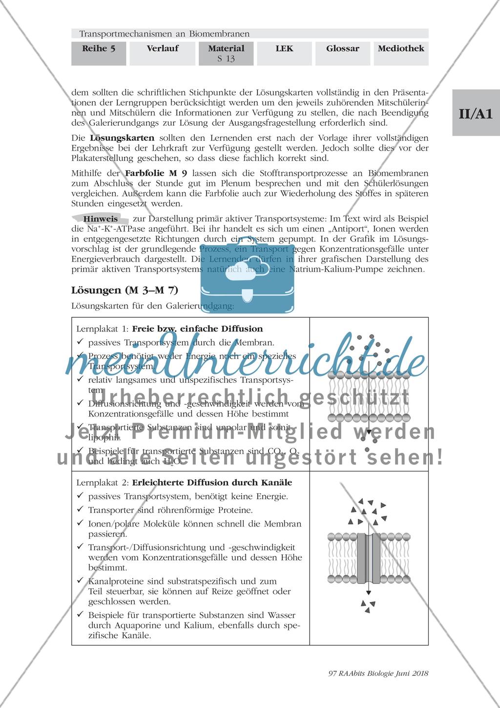 Transportmechanismen an Biomembranen - M1-M9 Preview 13