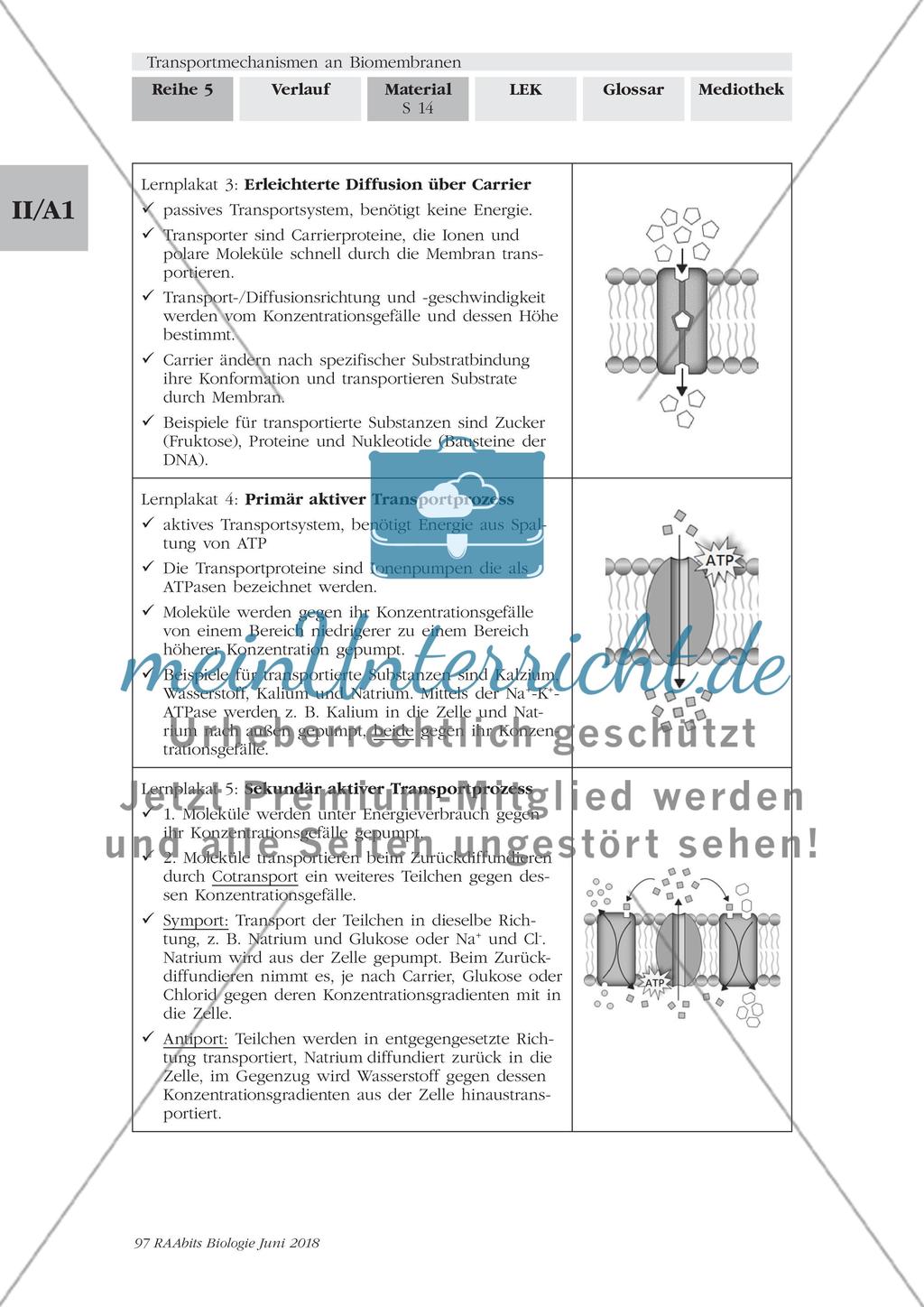 Transportmechanismen an Biomembranen - M1-M9 Preview 14