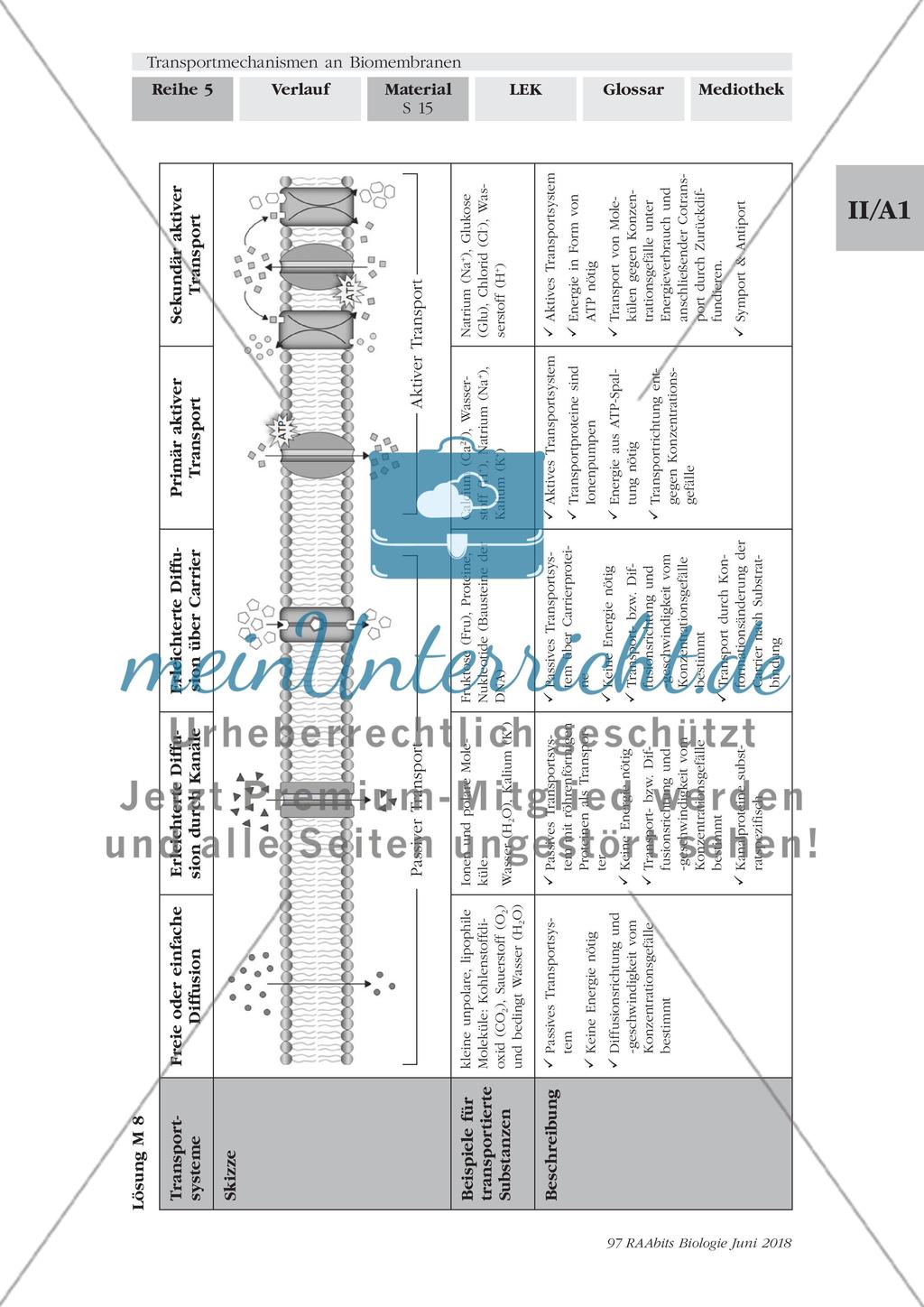 Transportmechanismen an Biomembranen - M1-M9 Preview 15