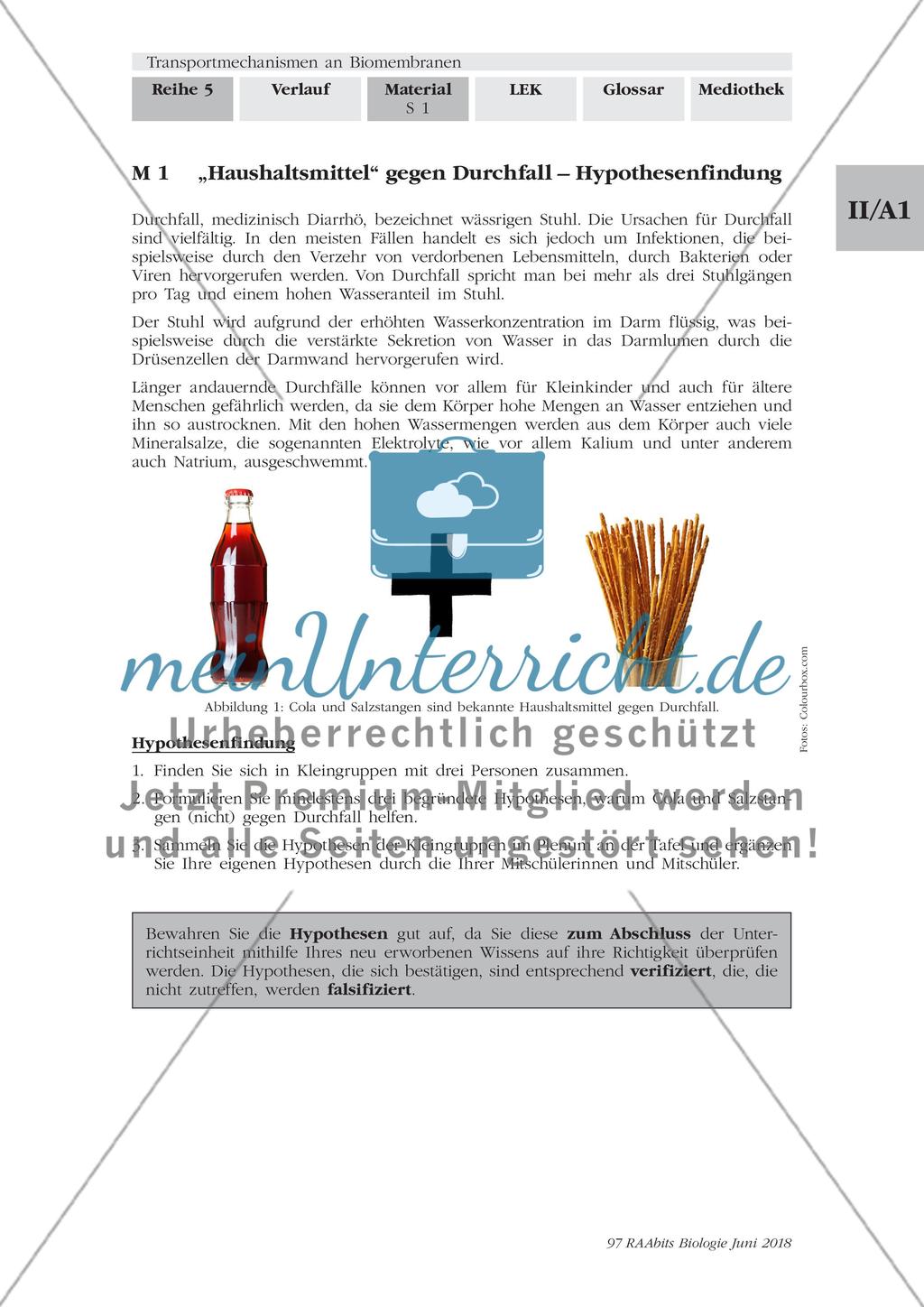 Transportmechanismen an Biomembranen - M1-M9 Preview 1