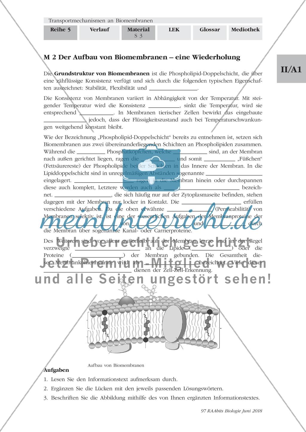 Transportmechanismen an Biomembranen - M1-M9 Preview 3